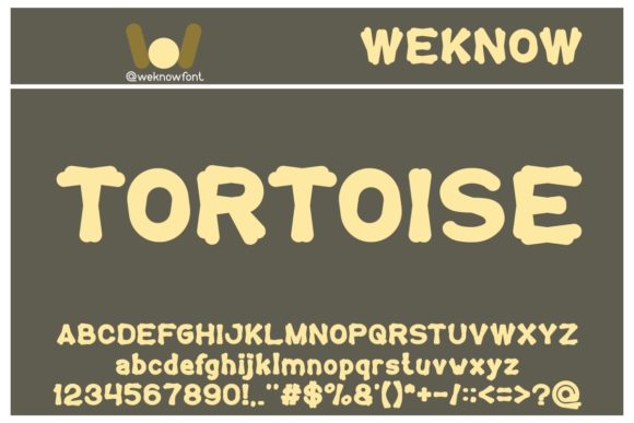 A Tortoise Font Brings Calm Boldness to Editorial Design