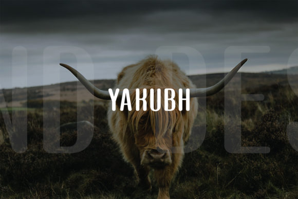 Yakubh Typeface for Campaign Headlines That Demand Attention